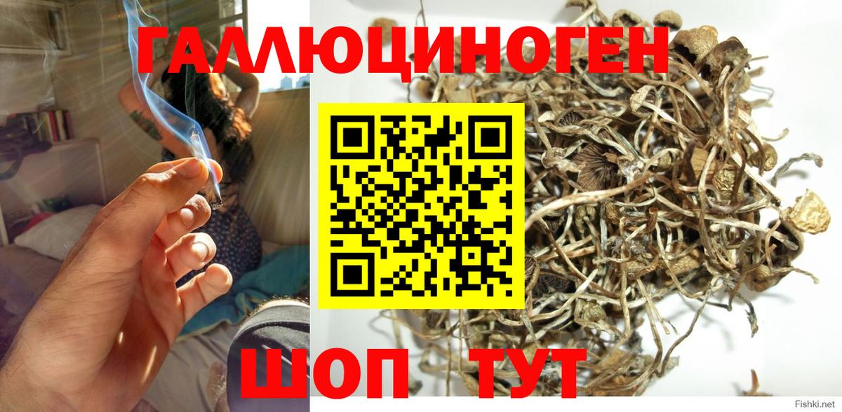 Псилоцибиновые грибы Magic Shrooms Новый Уренгой