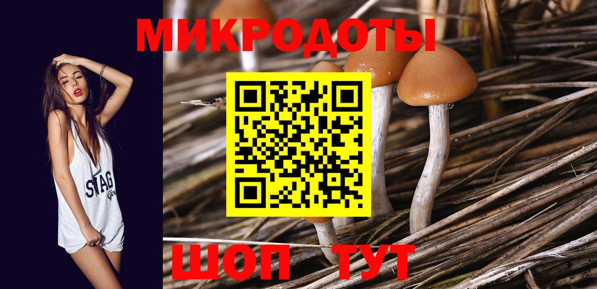 Новый Уренгой  Псилоцибиновые грибы ЛСД  цены наркотик  Вход с VPN 